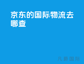 京东的国际物流去哪查