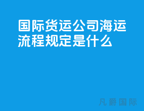 国际货运公司海运流程规定是什么