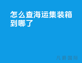 怎么查海运集装箱到哪了