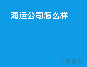 海运公司怎么样