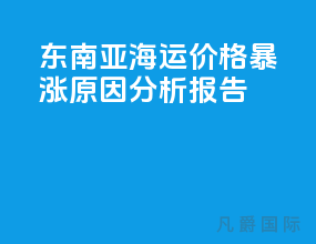 东南亚海运价格暴涨原因分析报告