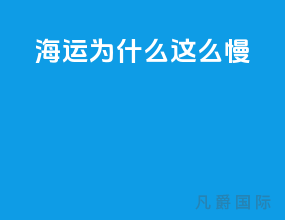 海运为什么这么慢