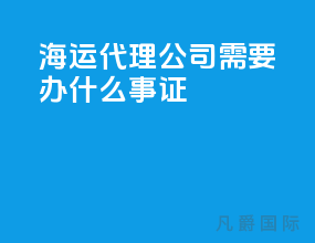 海运代理公司需要办什么事证