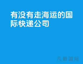 有没有走海运的国际快递公司