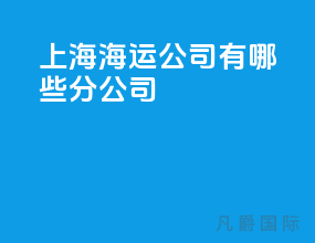 上海海运公司有哪些分公司