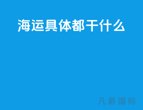 海运具体都干什么