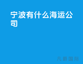 宁波有什么海运公司