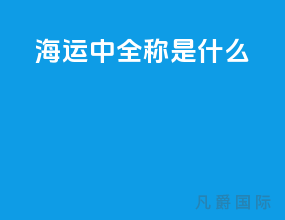 海运中si全称是什么