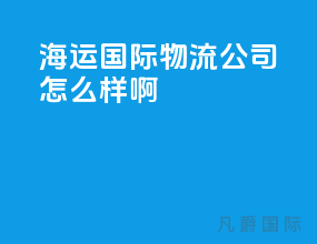 海运国际物流公司怎么样啊