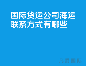 国际货运公司海运联系方式有哪些