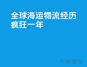 全球海运物流经历疯狂一年
