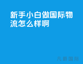 新手小白做国际物流怎么样啊