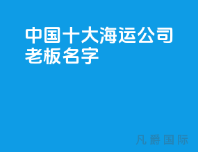 中国十大海运公司老板名字