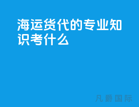 海运货代的专业知识考什么