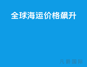全球海运价格飙升