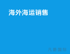 海外海运销售