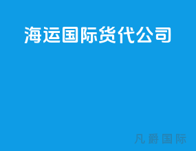 海运国际货代公司