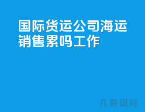 国际货运公司海运销售累吗工作