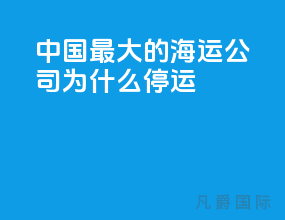 中国最大的海运公司为什么停运