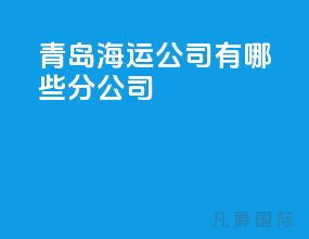 青岛海运公司有哪些分公司