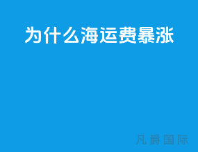 为什么海运费暴涨