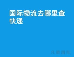国际物流去哪里查快递