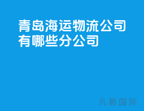 青岛海运物流公司有哪些分公司