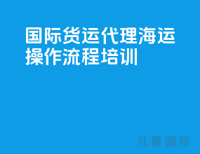 国际货运代理海运操作流程培训