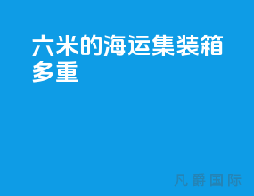 六米的海运集装箱多重