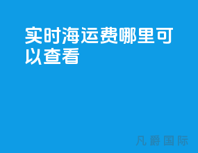 实时海运费哪里可以查看