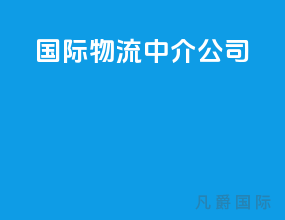 国际物流中介公司