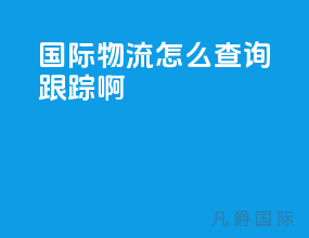 国际物流怎么查询跟踪啊