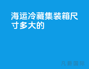 海运冷藏集装箱尺寸多大的
