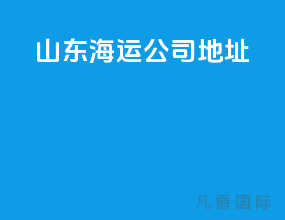 山东海运公司地址