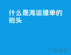 什么是海运提单的抬头