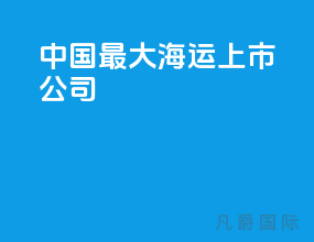 中国最大海运上市公司
