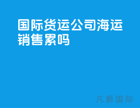 国际货运公司海运销售累吗