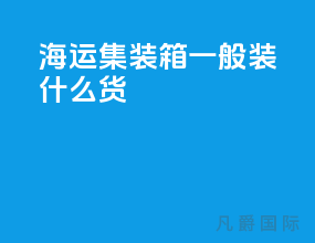 海运集装箱一般装什么货