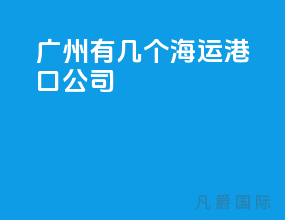 广州有几个海运港口公司