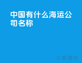 中国有什么海运公司名称