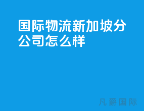 国际物流 新加坡分公司怎么样