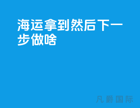 海运拿到so然后下一步做啥