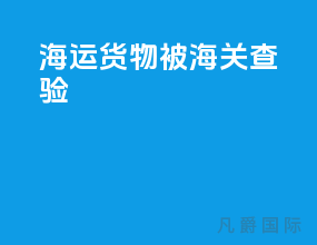 海运货物被海关查验