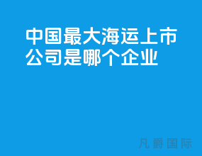 中国最大海运上市公司是哪个企业