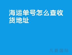 海运单号怎么查收货地址