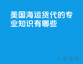 美国海运货代的专业知识有哪些