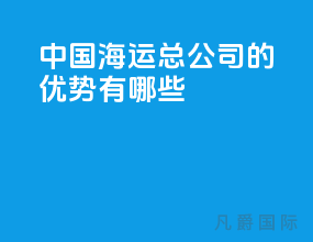 中国海运总公司的优势有哪些