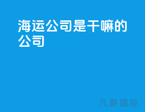 海运公司是干嘛的公司