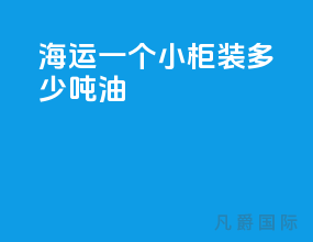 海运一个小柜装多少吨油