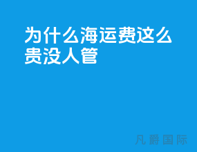 为什么海运费这么贵没人管